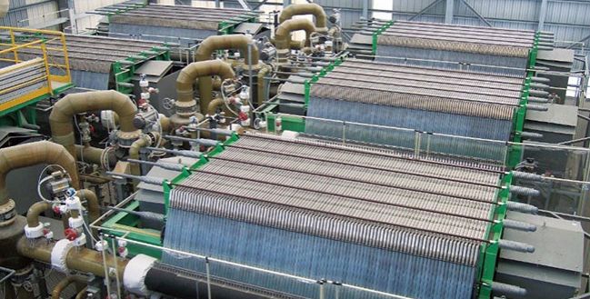 membrane-cells_1 membrane-cells_1